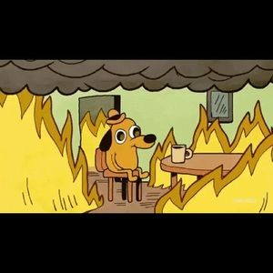 Meet your Posher, Phoebe